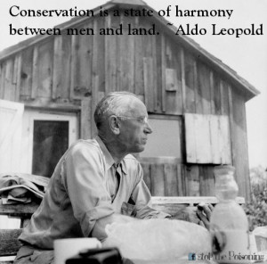 Conservation is a state of harmony between men and land. ~ Aldo ...