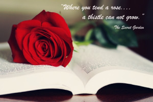 ... , beautiful, secret, quote, forever, red rose, miracles, love, garden
