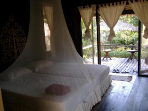 Romantic Relationships