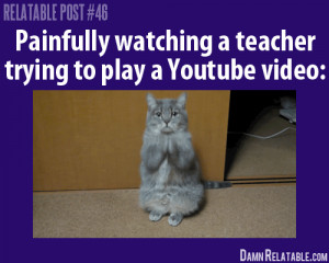 funny quote cute kitty baby laugh smile