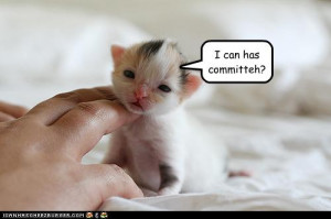 Funny Pictures Kittens Are Inspection Committee