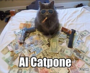 Funny Al Catpone Cat Gangster Meme Joke Picture
