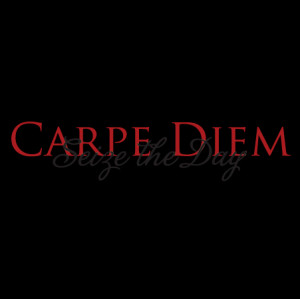 Seize The Day Trajan Pro Wall Quotes™ Decal