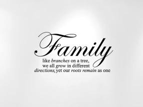 Stencils Family Like Branches on a Tree... Wall Decal Sticker Quote ...