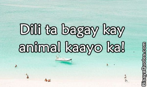 We Are Not Compatible