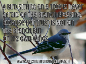 ... Is Not On The Branch But On It’s Own Wings ~ Inspirational Quote