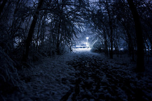 Snowy Landscape Night Snow winter landscape trees