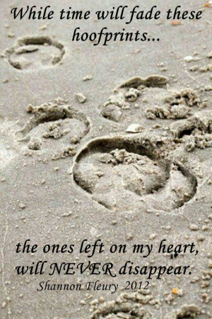 Love this. In loving memory of my two horses, Pinto & Sassy. Always in ...