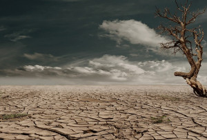 California-Drought-Public-Domain.jpg