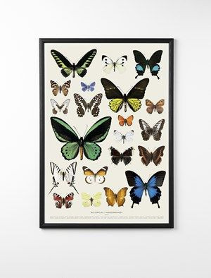 Poster Hagedornhagen 70x50 Myriad