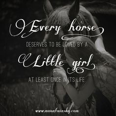 every horse more horses obsession hors quotes violets horses so true ...