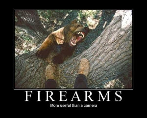 The Right to Bear Arms Meets . . . Bears