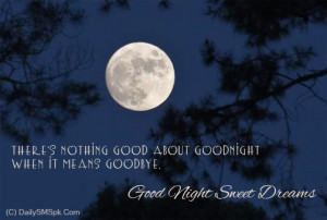 ... Nothing Good About Goodnight When It Means GoodBye ~ Good Night Quote