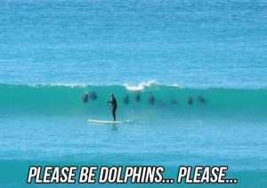 Let There Be Dolphins