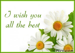 Wish You All The Best