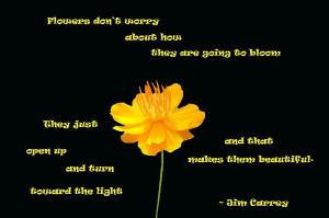 Jim carrey, quotes, sayings, flower, bloom, awesome quote