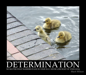 INSPIRATIONAL QUOTES ,HAPPINESS QUOTES ,LIFE QUOTES