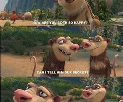 Merima Šogolj♡ Follow 11 months ago