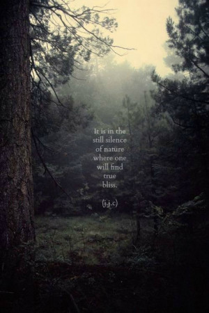... # nature # forest # fog # foggy # trees # bliss # quotes # quotes