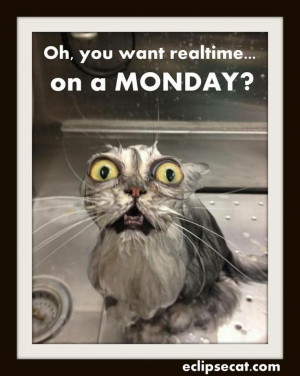 Realtime on a Monday? Court Reporter Humor.
