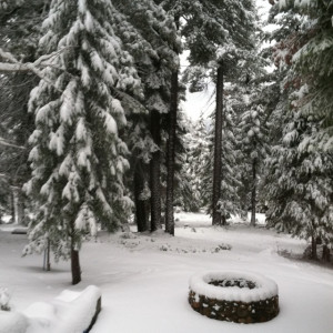 Snow on St. Patrick's Day!