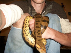 Thread: My Green Anaconda(BAMF)