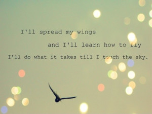 ll spread my wings and I'll learn to fly. I'll do what it takes till ...