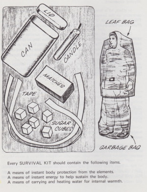 wilderness survival skills