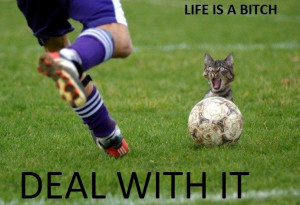 Life is a Bitch Quotes