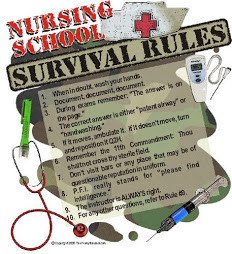 Secret Life of a Nursing Student*