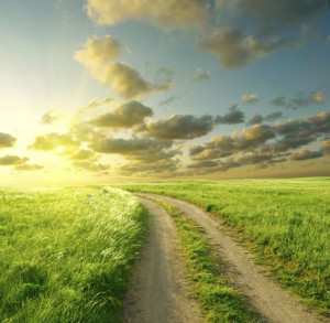 mouse-over to magnify / click to zoom )