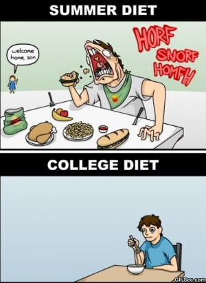 The-Diet.jpg