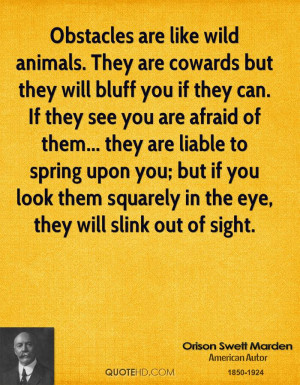 Obstacles are like wild animals. They are cowards but they will bluff ...