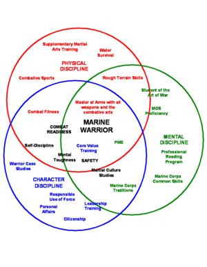 warrior ethos