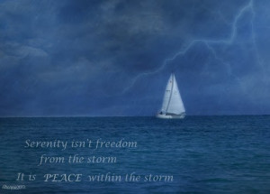 Serenity isn't freedom from the storm, It is peace within the storm.