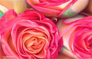 ... Eberhard Arnold Happy Mother's Day! Enjoy 25 Loving Quotes & Luscious