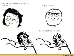 funny pictures,auto,rage comics,fly,bug,wall,horror,determined face ...