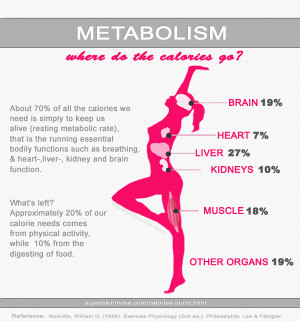 Metabolism and Calories
