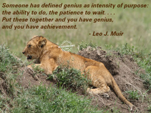 achievement-quotes-Putting Together Of Intensity And Ability And ...