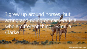 Top Quotes About Horses And Riding