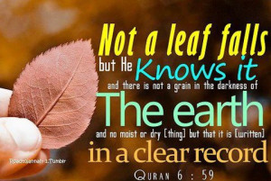 04 am images islam islamic quotes not a leaf falls quotes