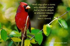 ... searched for hummingbirds...and the perfect quote. #touched #lolovesEZ