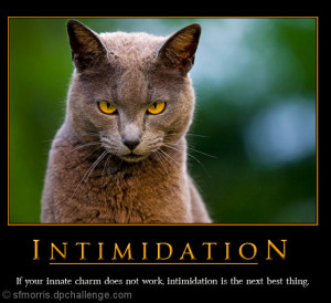 How To Be Intimidating