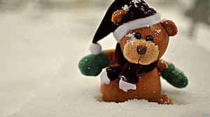 Cute Teddy Bear Images HD Wallpapers