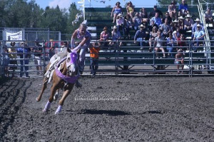 Trick Riding rodeo | TumblrHors Vaulted, Horses Vaulted