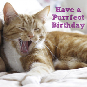 birthday cat card home quotes to live by quotes for gardeners quotes ...