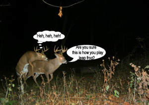 Deer Hunting Season Quotes