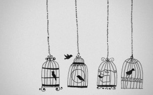 art, beauty, bird, birdcage, birds, birds cage, cute, drawing, draws ...
