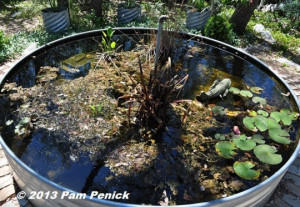 How to spring clean your stock tank container pond
