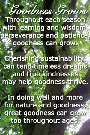 Seasoned Time Sustainability Truth Goodness Sustainability The Golden